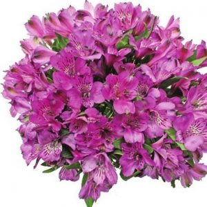 ALSTROEMERIA BOUQUET