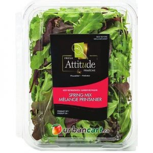 Attitude Salads