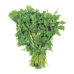 Italian Parsley