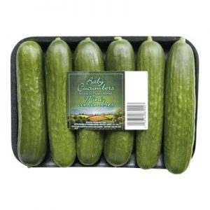 Mini Cucumber