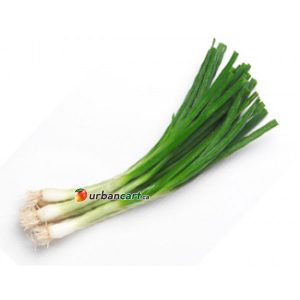 Green Onions