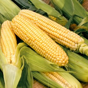 Packed Sweet Corn